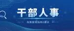 干部人事档案整理指南8要点