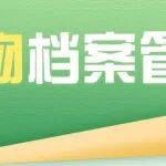 实物（荣誉）档案管理办法
