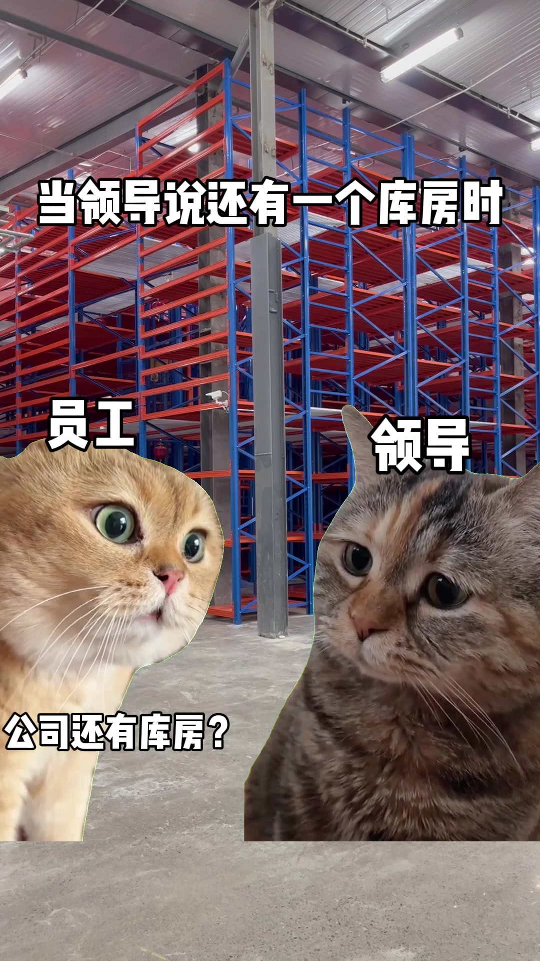 库房开业4