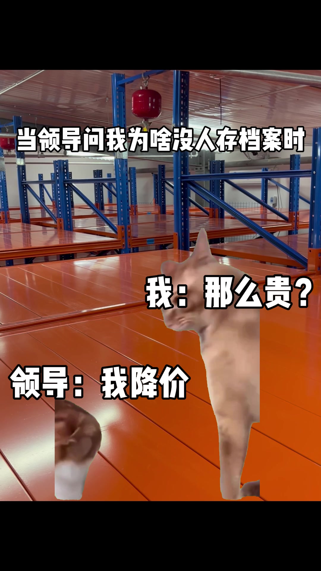 库房开业5