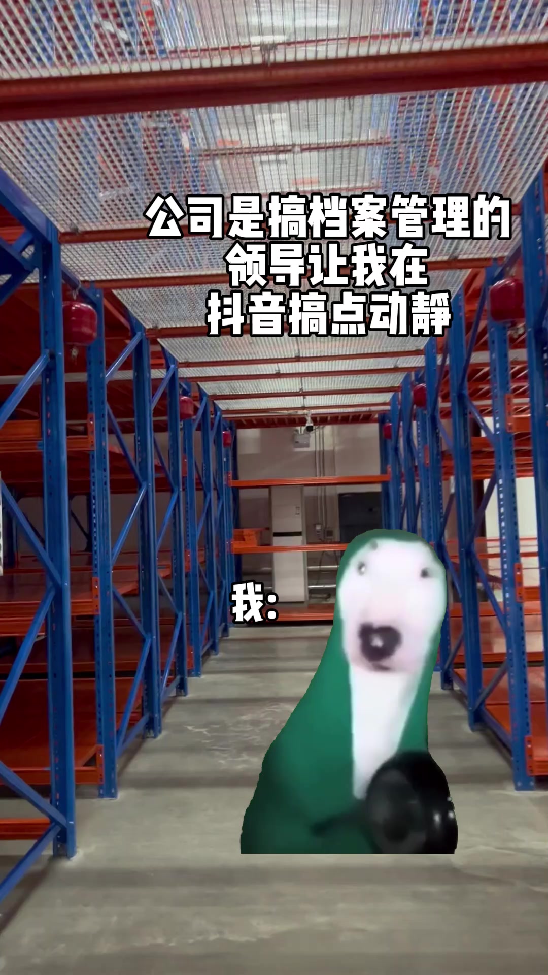 小狗敲盆抖音