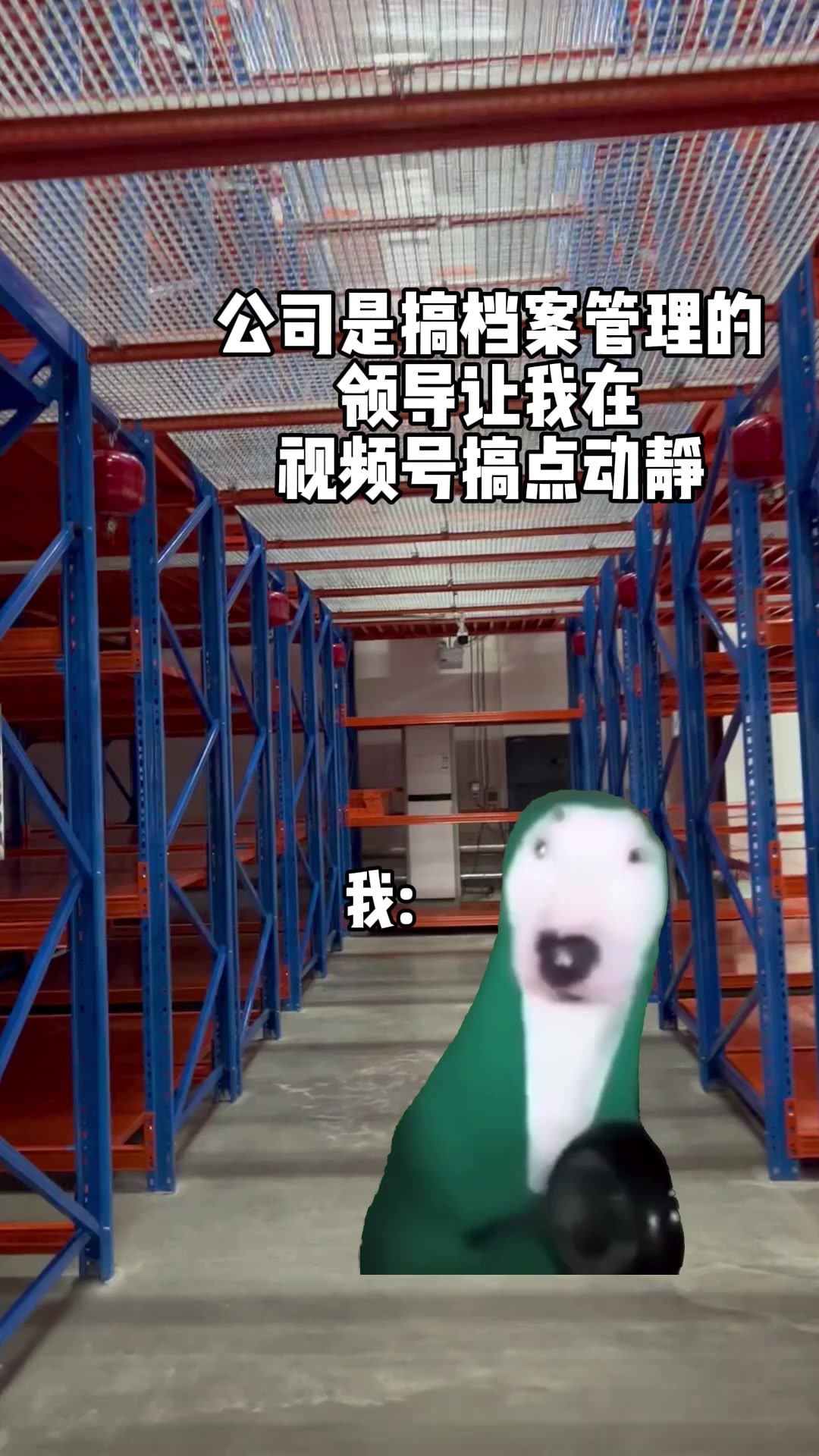 小狗敲盆视频号