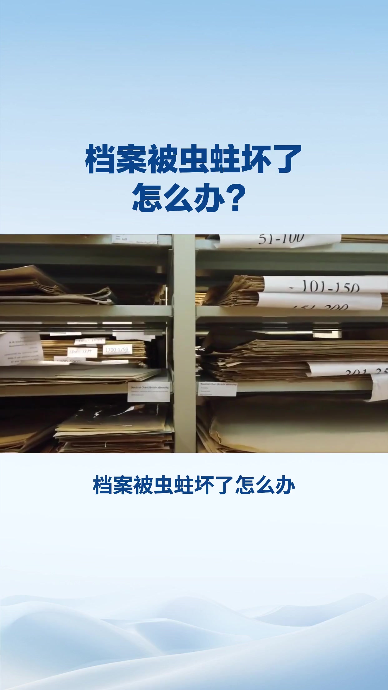 档案被虫蛀坏了怎么办