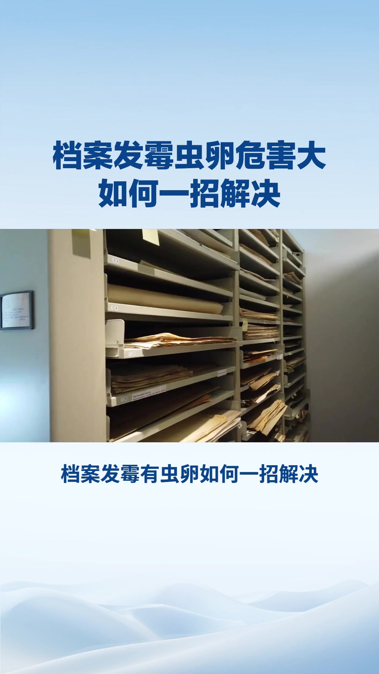 档案发霉虫卵危害大，如何一招解决？