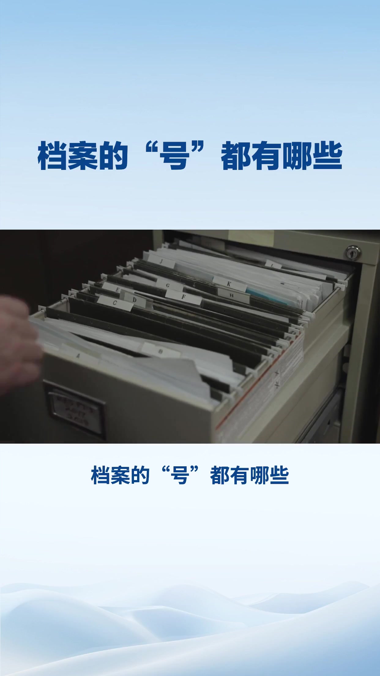 档案的“号”都有哪些