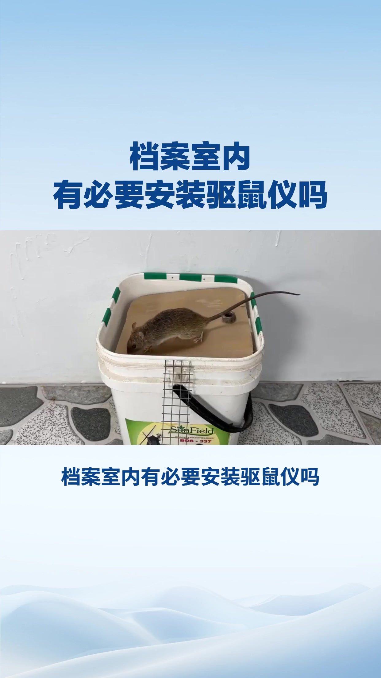 档案室内有必要安装驱鼠仪吗
