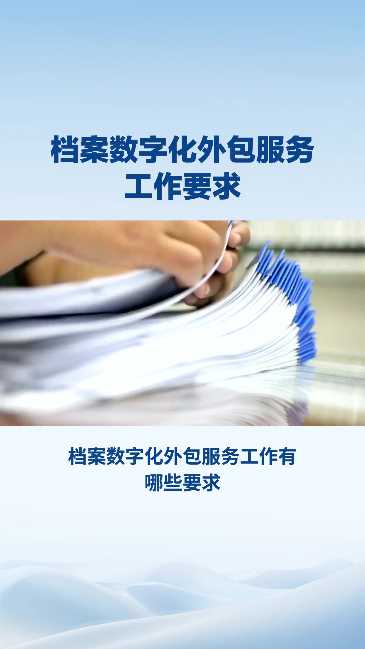 008号小龟